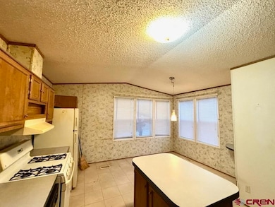 9 Palomino Dr, Durango, CO 81301 - photo 5