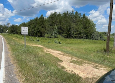 805 Columbia Rd, Edgefield, SC 29824 - photo 3