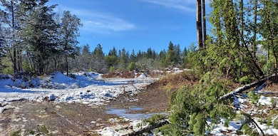 000 Redwood Hwy, Cave Junction, OR 97523 - photo 6