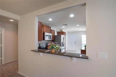 22000 Belgian Ct, Mount Dora, FL 32757 - photo 5