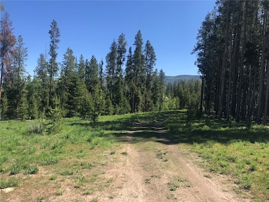 from road looking north