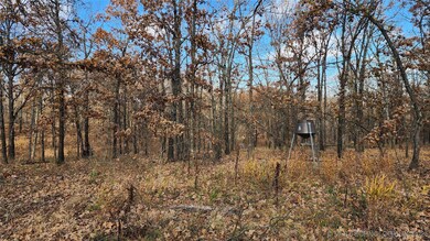 427640 E 290 Rd, Chelsea, OK 74016 - photo 5