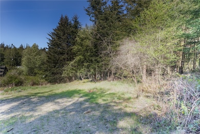 12 xx 48th St, Port Townsend, WA 98368 - photo 3
