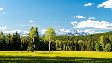 8500 N Fork Rd, Polebridge, MT 59928 - photo 6