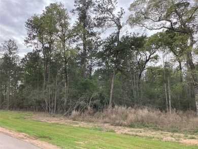 19844 Whispering Creek Trail, Magnolia, TX 77355 - photo 2