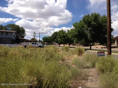 XXX Villa View Dr, Farmington, NM 87402 - photo 4