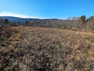 0 Two Rod Rd, Bath, NY 14810 - photo 2