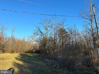 0 Woodland Dr unit VAPA2003168, Luray, VA 22835 - photo 3