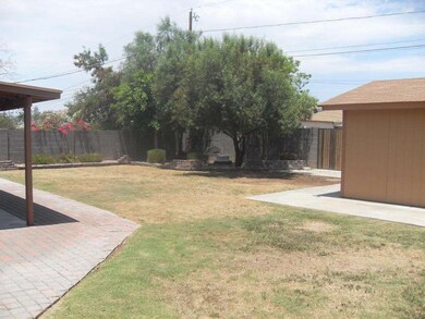 Large Backyard