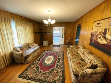 325 U S 65, Saint Joe, AR 72675 - photo 5