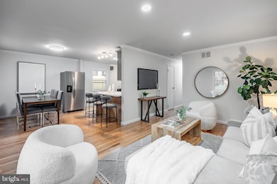 241 S Cedar Ln, Upper Darby, PA 19082 - photo 6