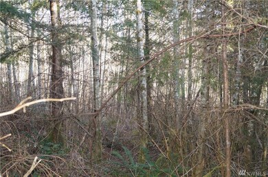 0 McGaughy Ridge Ln unit 1574341, Elma, WA 98541 - photo 4