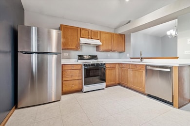 601 E Victoria Cir unit 221, North Aurora, IL 60542 - photo 5