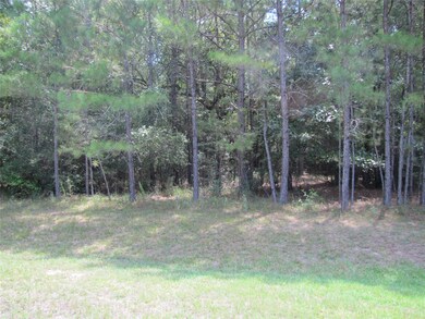 28013 Arrowhead Trail, Magnolia, TX 77355 - photo 3