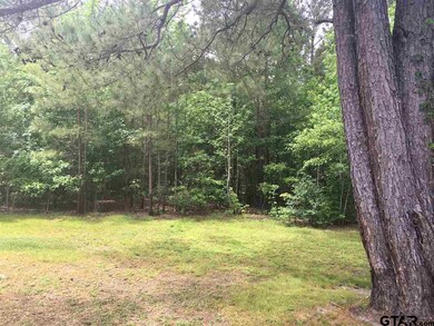 11993 County Road 2264, Arp, TX 75750 - photo 2