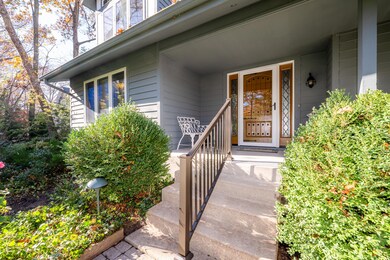 Timber Lane-106