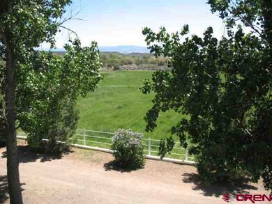 1145 NW Bluebird Ave, Cedaredge, CO 81413 - photo 5