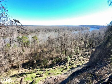 0 County Road 35 E, Lower Peach Tree, AL 36751 - photo 5