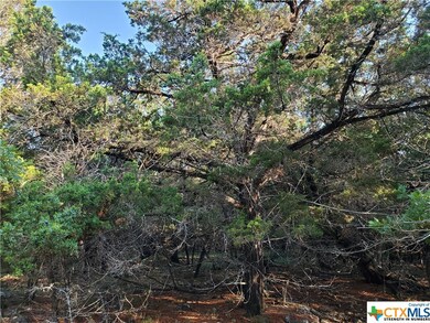 4972 Comanche Dr, Temple, TX 76502 - photo 5