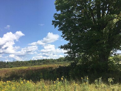 The Views!