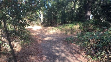 5850 Cedars Rd, Redding, CA 96001 - photo 3