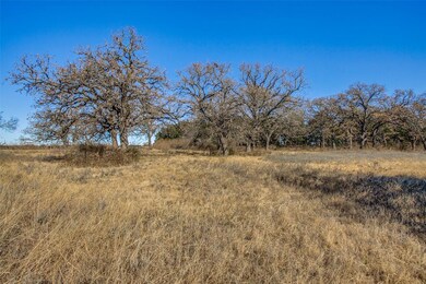 1388 County Road 176, Whitesboro, TX 76273 - photo 5