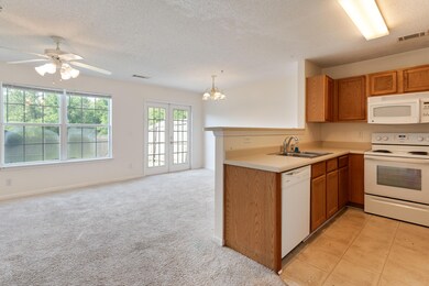 282 swaying pines-12
