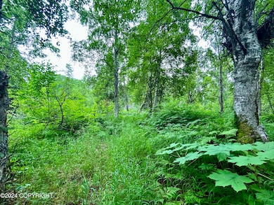 5628D555-03F5-4E25-92B8-1C13DC2F8490_1_2