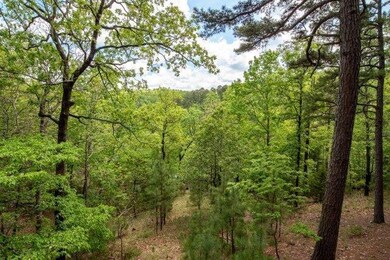 21707 Ridgeview Ln, Rogers, AR 72756 - photo 5