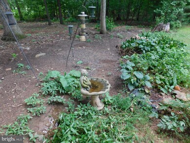 288 Wildflower Ln, Luray, VA 22835 - photo 5