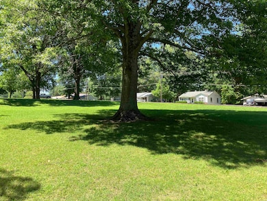 702 S 12th Ave, Piggott, AR 72454 - photo 4