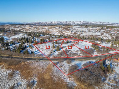 L2 Hutler Rd, Fritz Creek, AK 99603 - photo 5