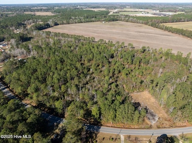 1598 River Bluff Rd, Lumberton, NC 28358 - photo 7