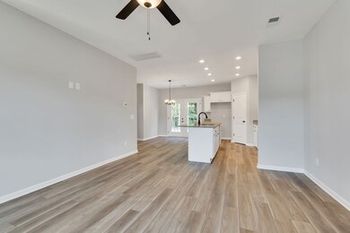 223 Hannah Lee Hill, La Vergne, TN 37086 - photo 6