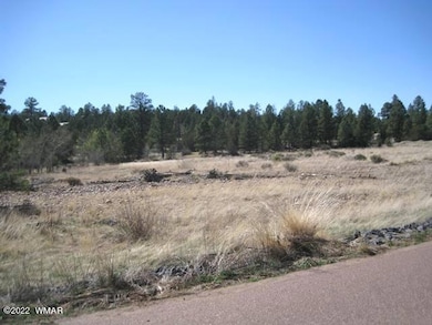 Meadow Rd 6