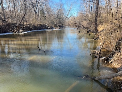 202 Ac. Chestnut Rd, Nathalie, VA 24577 - photo 2