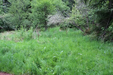 18513 Elkhorn Blvd E, Orting, WA 98360 - photo 3