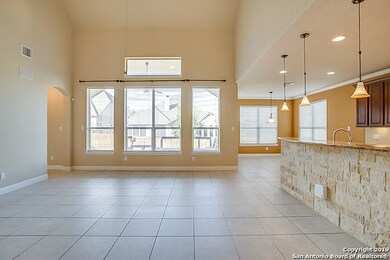 3839 Sweet Olive, San Antonio, TX 78261 - photo 5