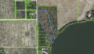 991 Lake Dr E, Lake Placid, FL 33852 - photo 4