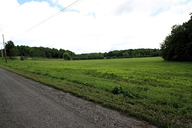TBD Barnes Rd, Whiting, VT 05778 - photo 7