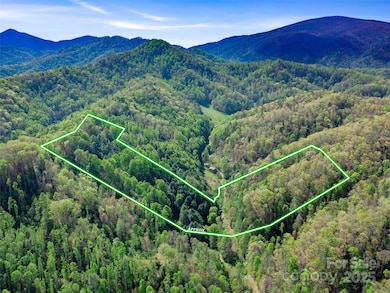 0 Fire Scald Rd unit CAR4252435, Green Mountain, NC 28740 - photo 2