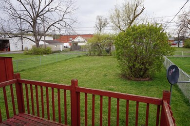 Back yard