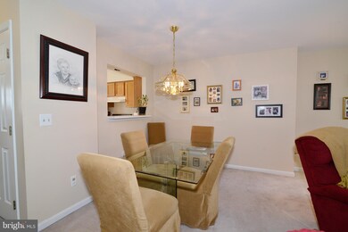 301 Mcdaniel Dr, Purcellville, VA 20132 - photo 6