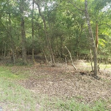 15914 Lone Shadow Tr, Stagecoach, TX 77355 - photo 4