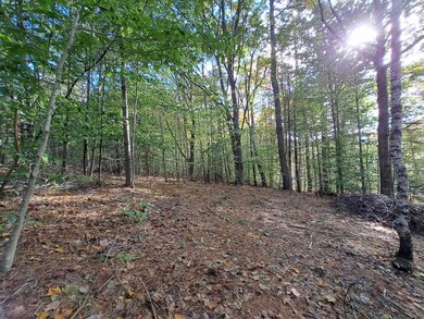 Lot 4 Nh Route 49, Thornton, NH 03285 - photo 5