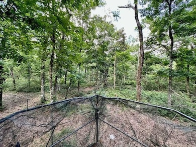 0 Jack Crum Rd unit 359125, Crawfordville, FL 32327 - photo 4