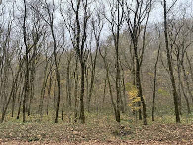 0 Pine Lick Rd unit RTC3043362, Whitleyville, TN 38588 - photo 6