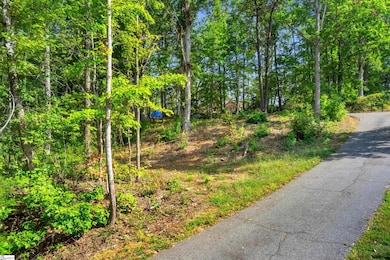101 & 103 George Williams Dr, Easley, SC 29640 - photo 2