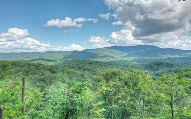 Additional View