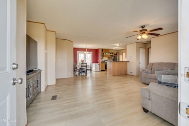 175 Forest Rd, Mosheim, TN 37818 - photo 6